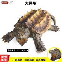 ? ของขวัญ Simulation model of freshwater animals large crocodile turtle tortoise children cognitive organism toys furnishing articles