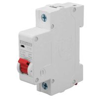 1P Miniature Circuit Breaker DIN Rail Mounting Overlord Short Circuit Protection Switch DC 250V