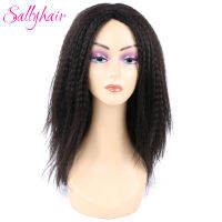 Sallyhair Synthetic Kinky Long Straight Wigs 14inch Ombre Black Purple Brown Middle Part For Women