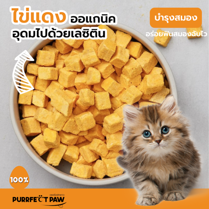 ขนมแมว-ไข่แดงฟรีซดราย-100-purrfect-paw-ขนมแมวฟรีซดราย-ดีต่อสุขภาพ-บำรุงขน-ไม่เค็ม