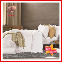 ชุดผ้าปูที่นอน 6 ฟุต 5 ชิ้น FACINO SOLID SF029BEDSHEET SET 6FT 5PCS FACINO SOLID SF029 **สอบถามเพิ่มเติมได้จ้า**