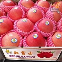 สินค้าพร้อมส่ง แอปเปิ้ล แอปเปิ้ลฟูจิ 1 ลูก 100-200 กรัม 九 ผลไม้นำเข้า ผลไม้สด หวาน กรอบ อร่อย ผลไม้นอก