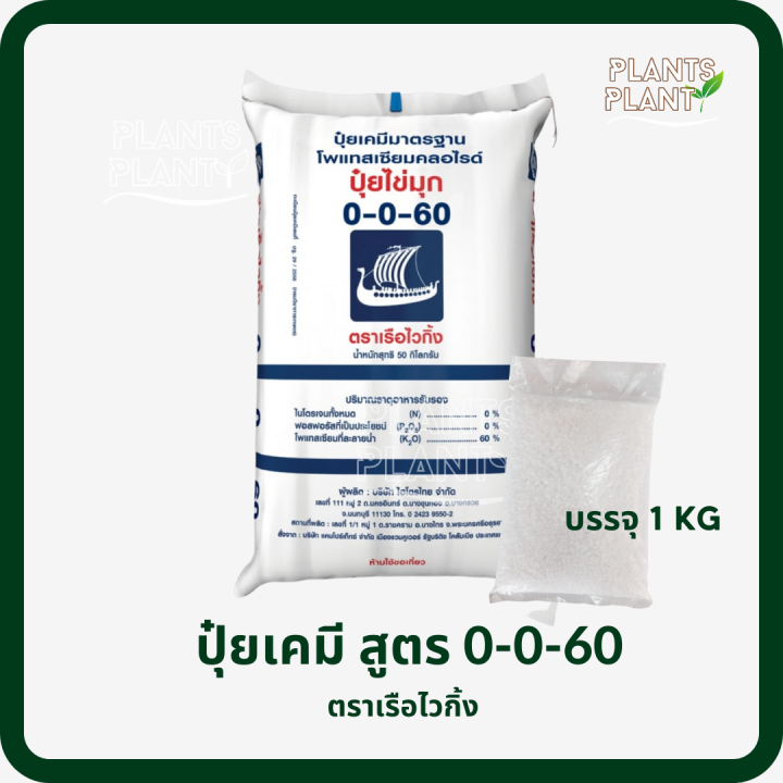 ปุ๋ยเคมี-0-0-60-1kg-ตราเรือไวกิ้ง-ปุ๋ยเร่งแป้ง-เร่งหวาน-ใส่ผัก-ผลไม้-ไม้ดอกไม้ประดับ