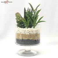 [ขายดี]  ORIENTALFINEART ต้นไม้ปลอม ว่านหางจระเข้ปลอม SUCCULENT PLANT ประดับด้วยหิน3สี 3ชั้น