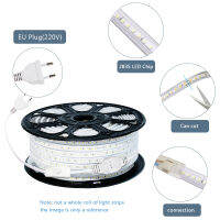 220V Waterproof LED strip Light High Safety High Brightness SMD 2835 Flexible Lights 120LEDsM Home Decoration With Switch Plug