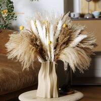 Natural Dried Pampas Grass Bouquets Boho Home Decor Dried Flowers Fluffy Reed Bunny Tail Wedding Decoration Flower Arrangement