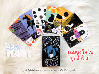 [พร้อมส่ง🇹🇭] แถมคู่มือไทย/อังกฤษ Blooming Cat Tarot ไพ่ยิปซี ไพ่ทาโรต์