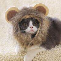 ZZOOI Cute Lion Mane Pet Dog Cat Cosplay Small Dog Cats Costume Warm Wig Cap Decoration Christmas Pet Halloween Costume