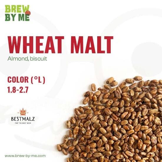 มอลต์ Wheat Malt – BESTMALZ Malt ทำเบียร์