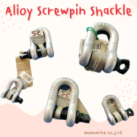 Titan Alloy Screw Shackle  สเก็นโซ่ สเก็นสมอเรือ สเก็นกาวาไนท์