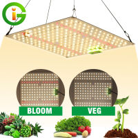 LED ไฟปลูกต้นไม้ Grow Light  LM281B 650W เต็มสเปกตรัมไฟเลี้ยงต้นไม้โตเร็ว2เท่า เหมาะสำหรับพืชทุกชน พื้นที่ฉายรังสีกว้าง