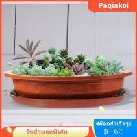 Paqiakoi หม้อพลาสติกพลาสติกในสวน 1 ชุดหม้อผู้ปลูกแบบฉ่ำหม้อฉ่ำกับจานรอง