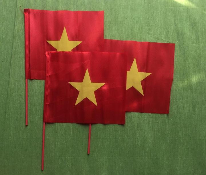 Combo 5 lá cờ Việt Nam cờ cỗ vũ bóng đá cờ cầm tay nhỏ | Lazada.vn
