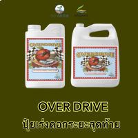 [ready stock]พร้อมส่ง Overdrive ปุ๋ยเร่งดอกระยะสุดท้าย ของแท้จากUSA ขวดจริงมีบริการเก็บเงินปลายทาง