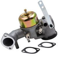 Carburetor Carb with Gaskets Replacements 252702 252707 253702 253706 393410 for Briggs &amp; Stratton