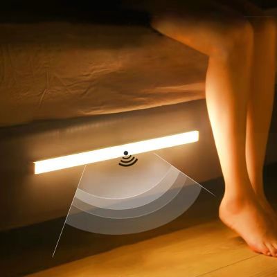 【CC】 Sensor Night USB Rechargeable Lamp Cabinet Wardrobe Staircase Backlight
