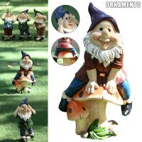 【Ready Stock】 ﹍✜ D50 ✈ Home Decoration High-quality Garden Gnomes Statue Ornament Indoor Outdoor Lawn Decoration