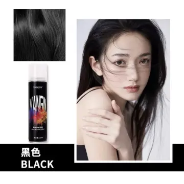 Krayon Glossy Black spray paint  440ml