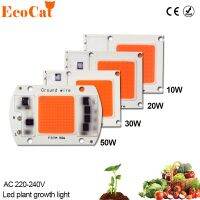 【❖New Hot❖】 aojia6891 Led Cob Chip สำหรับแสงสว่าง Led อินพุตเต็มสเปกตรัม220V 240V 10W 20W 30W 50W สำหรับปลูกต้นกล้าและดอกไม้ในร่ม
