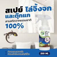 ไล่จิ้งจก ตุ๊กแก B&amp;K Natural สเปรย์สมุนไพร ขนาด 250 มล./Gecko Free 250 ml.