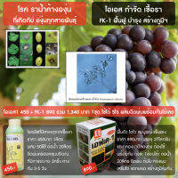 ราน้ำค้างองุ่น (downy mildew of grapes) โรคราต่างๆ ใช้ ไอเอส1 สารอินทรีย์ + FK-1 ฟื้นฟู เร่งโต สร้างภูมิฯ โปรดอ่านวิธีใช้