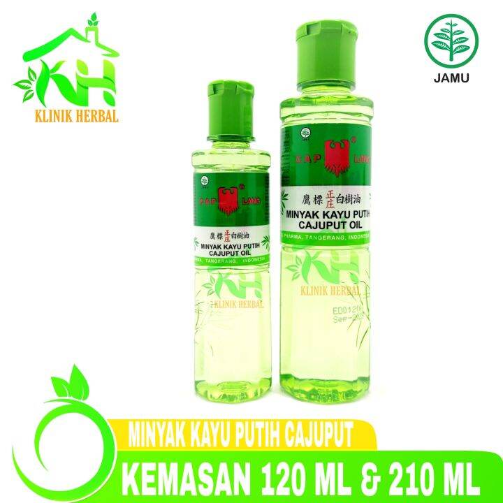 Minyak Kayu Putih Cap Lang Cajuput Oil BESAR | Lazada Indonesia