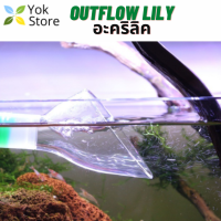 ข้อต่อ outflow แบบ lily ปากทางออกลิลลี่