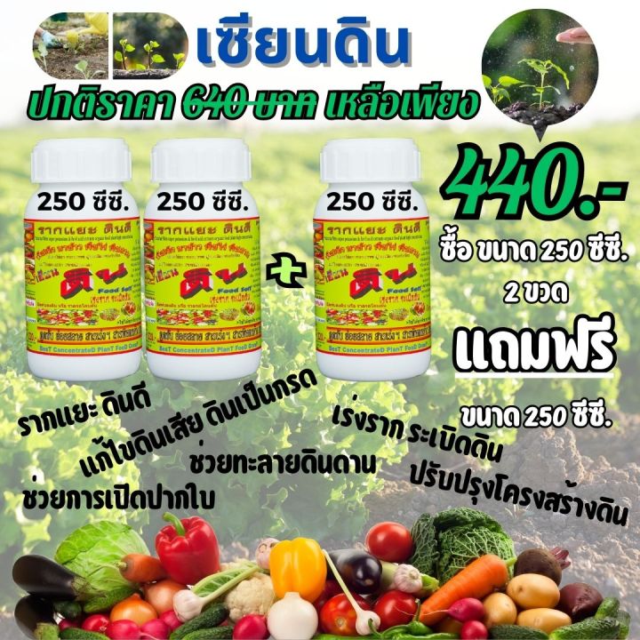 พร้อมส่ง-เซียนดิน-ขนาด250-ซีซี-ซื้อ2แถม1-ปลดปล่อยธาตุอาหาร-ระเบิดดิน-เพิ่มประสิทธิภาพปุ๋ย-รากแยะ-ดินดี-แก้ไขดินเสีย