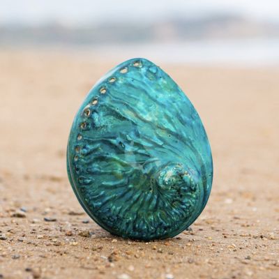 （READYSTOCK ）🚀 Natural Big Sea Conch Large Shell Sapphire Blue Green Abalone Shell Artificial Dyed Decoration Starfish Fish Tank Scenery Decoration YY