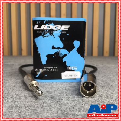 ( โปรโมชั่น+++ ) สายสัญญาณ XLR ผู้+Phone ยาว 1 เมตร LIDGE YM-381F 1M สาย XLRผู้-โฟนโมโน YM 381 F CANNON ผู้- Phone mono ym381f เอไอ-ไพศาล คุ้มค่า อุปกรณ์ ดนตรี อุปกรณ์ เครื่องดนตรี สากล อุปกรณ์ เครื่องดนตรี อุปกรณ์ ดนตรี สากล