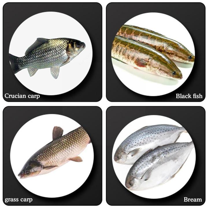 ไฟฟ้าที่มีประสิทธิภาพปลา-scaler-เกล็ดปลา-remover-ไฟฟ้า-scalers-knif-usb-เครื่องมืออาหารทะเลครัวตกปลา-l8g3