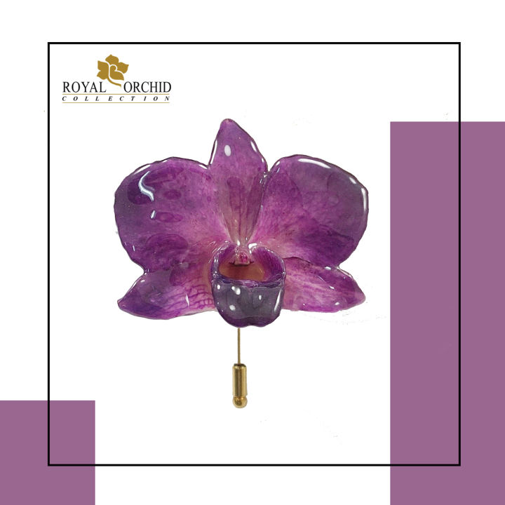 royal-orchid-เข็มกลัดดอกกล้วยไม้ของจริง-สีม่วง
