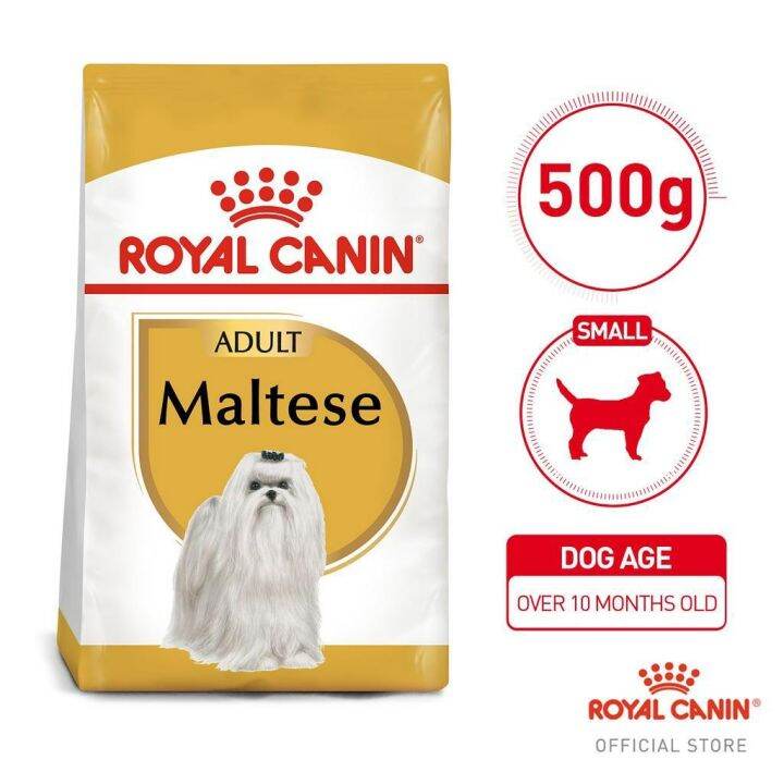 Royal Canin Maltese Adult Dry Dog Food (500g) Breed Health Nutrition Lazada PH