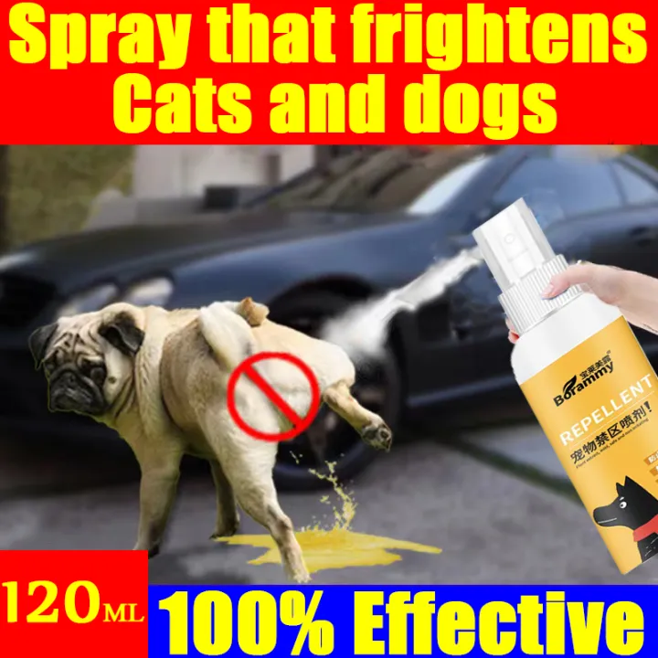 how do you make dog pee repellent