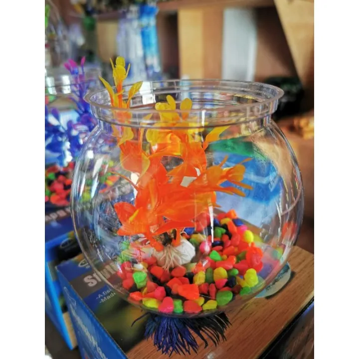Fish bowl set for Betta Fish Lazada PH