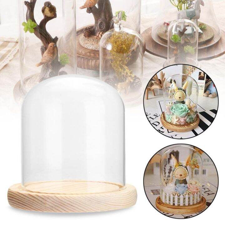 simplelove-clear-glass-display-dome-with-wooden-base-display-dry-flower-plant