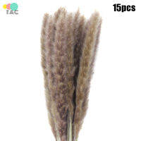 TAC 15ชิ้นธรรมชาติแห้ง Pampas หญ้ากกดอกไม้พวงช่อหน้างานแต่งงานดอกไม้ตกแต่ง60-80เซนติเมตร