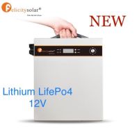 Lithium LifePo4 12V 120A Wall Batterry