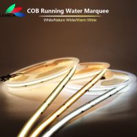 5M WS2811 COB LED Strip Running water Light Horse Race Lamp 420Leds/m With Backflow Marquee White Nature Warm White DC24V