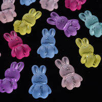 20pc  Frosted Acrylic Beads Rabbit Mixed Color 24.5x14.5x11mm Hole: 2.5mm