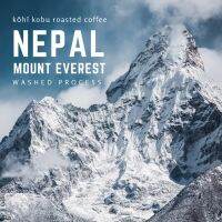 ?[คลีนจัดชัดด้วยอโรมา] เนปาล เอเวอร์เรส (Nepal Mount Everest) คั่วสดใหม่ทุกรอบ by kōhī kobu 100 - 200g.