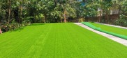 Thảm cỏ nhân tạo, cỏ nhân tạo sân vườn, lót sàn, trang trí, cỏ nhựa cao 2cm
