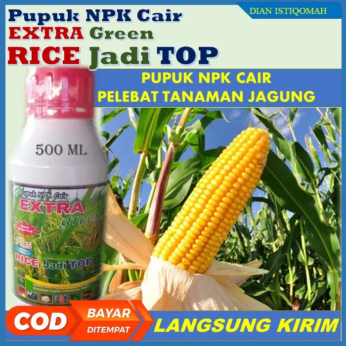 Promo Ricetop 500 Ml Pupuk Pelebat Jagung Pupuk Penyubur Jagung Untuk Jagung Tahan Penyakit 3199