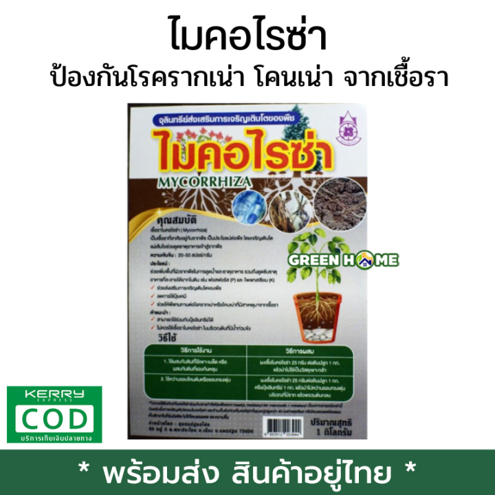 My Image 32