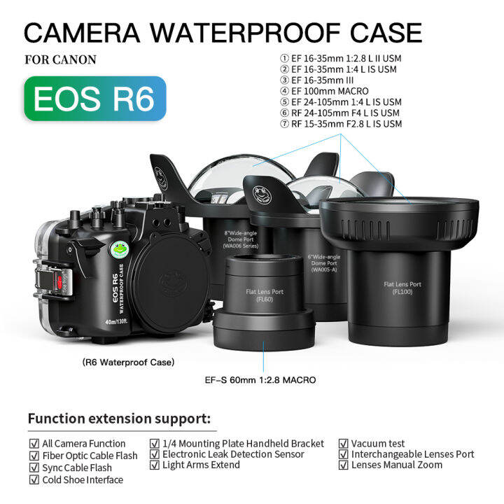 d10 camera