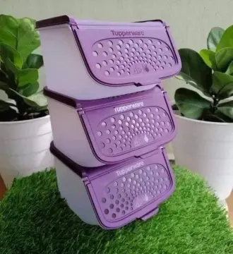  Tupperware Garlic-N-All Keeper Organizer for Onion