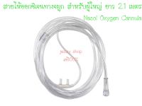 Nasal Oxygen Cannula แคนนูล่า สายออกซิเจน สายให้ออกซิเจนทางจมูก สำหรับผู้ใหญ่ ยาว 2 m.