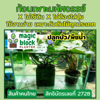 Magicblock ก้อนเพาะปลูกต้นไม้น้ำ/ปลูกพืชน้ำ/ปลูกบัว Magicblock