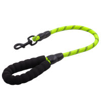 Outdoor Walking Reflective Threads Elastic Portable Heavy Duty No Pull Easy Hold Padded Handle Short Medium Large Nylon Rope Safe Durable Training Comfortable Dog Leash