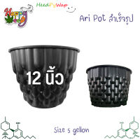 กระถางแอร์พอต Airpot กระถางต้นไม้ กระถางระบายน้ำ ขนาด 5 Gallon กว้าง 12 นิ้ว